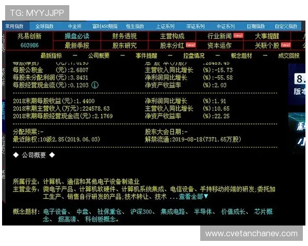 亚星科技官网入口：官方入口的安全保障措施与用户注意事项