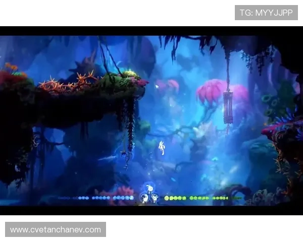 亚星游戏官网登录平台详细流程介绍及常见问题解决方案全攻略